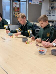 Yr 6 PLHS visit